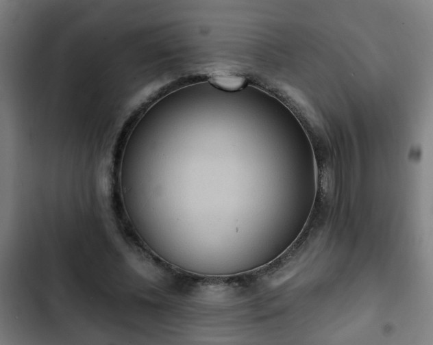 X0000103130540200808291318