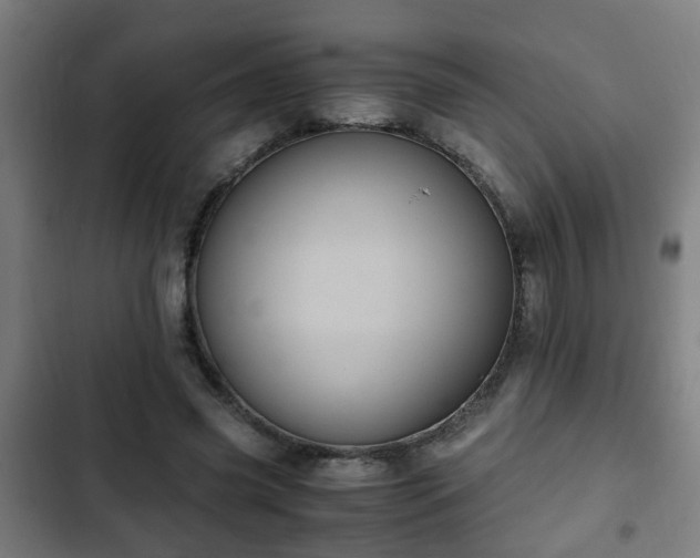 X0000103130541200808291318