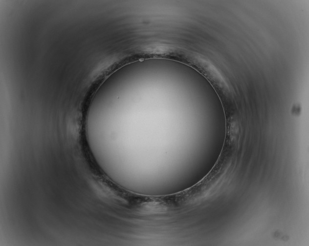 X0000103130544200808291318