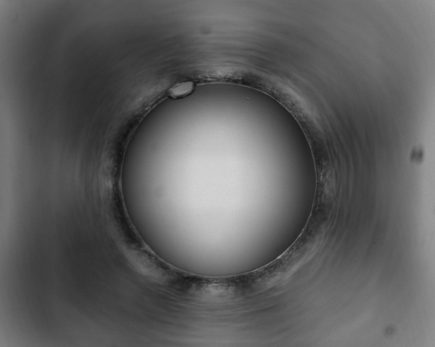 X0000103130546200808291318