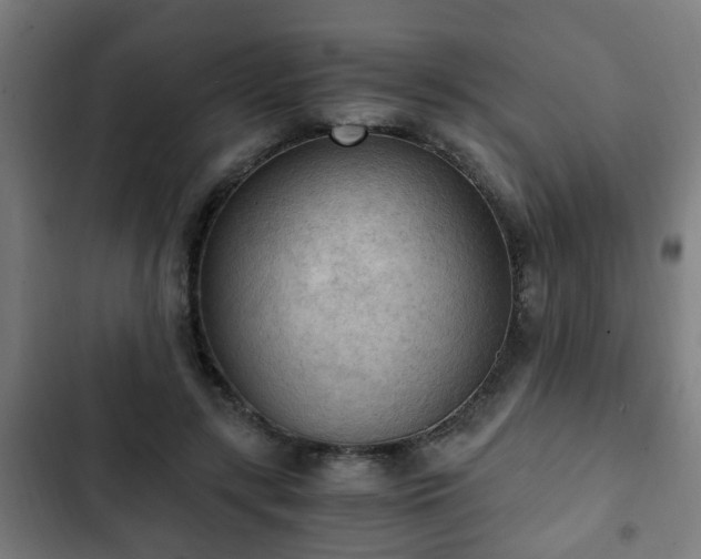 X0000103130547200808291318