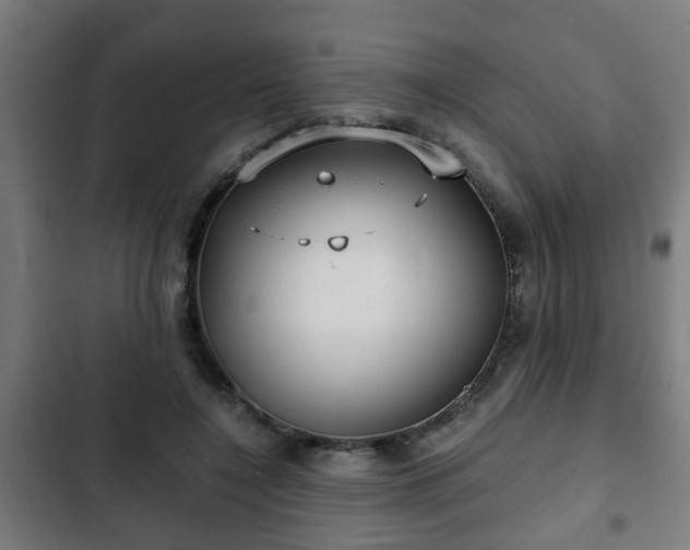 X0000103130548200808291318