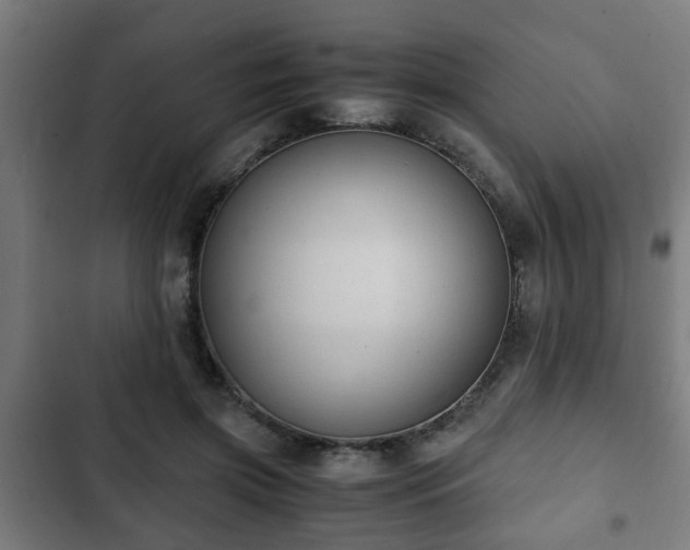 X0000103130549200808291318
