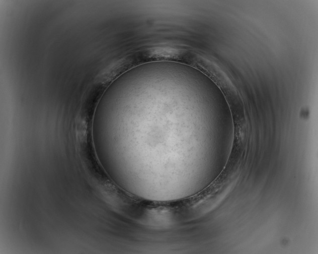 X0000103130551200808291318