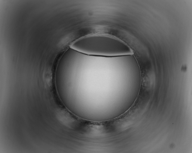 X0000103130552200808291318