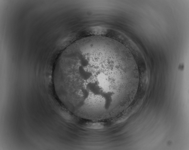 X0000103130553200808291318