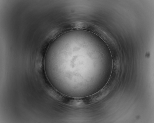 X0000103130554200808291318