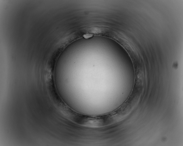 X0000103130555200808291318
