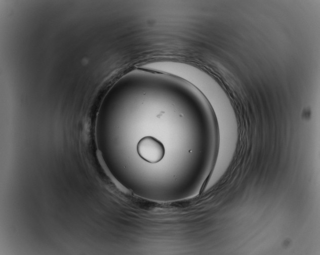X0000103130556200808291318