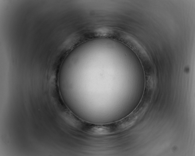 X0000103130557200808291318