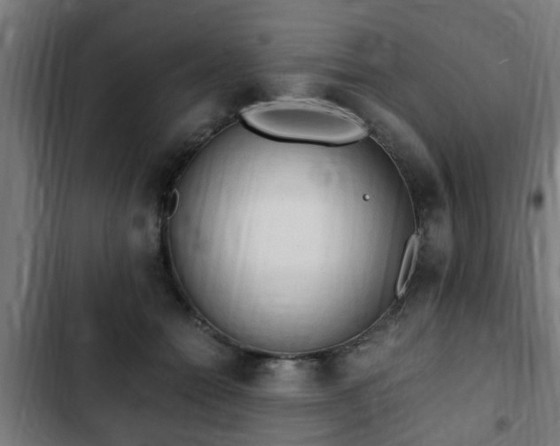 X0000103130558200808291318