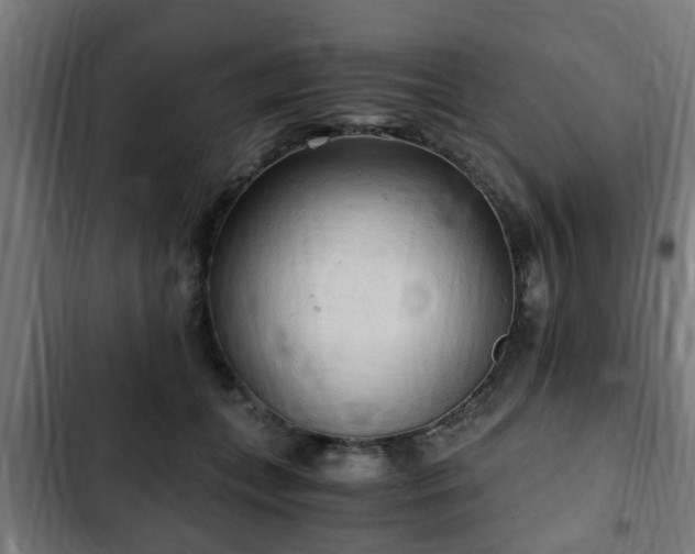 X0000103130559200808291318
