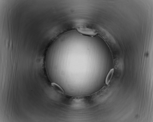 X0000103130560200808291318