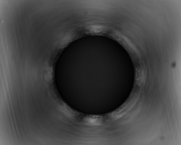 X0000103130563200808291318