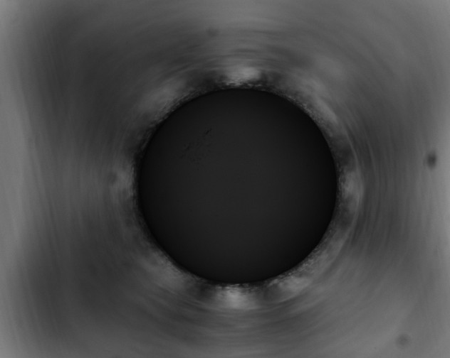 X0000103130565200808291318