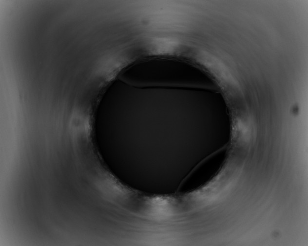 X0000103130566200808291319
