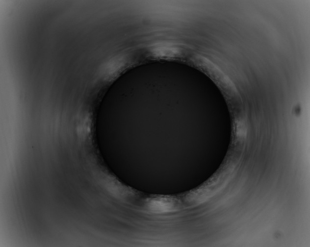 X0000103130567200808291319