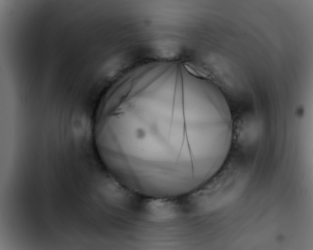X0000103130568200808291319