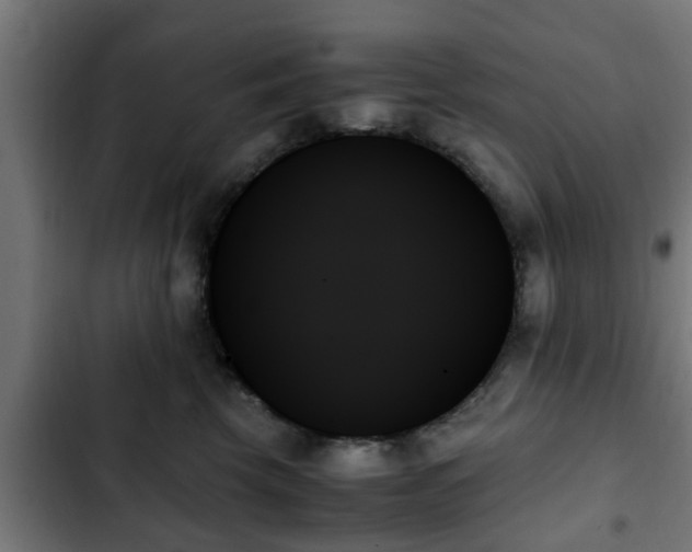 X0000103130569200808291319
