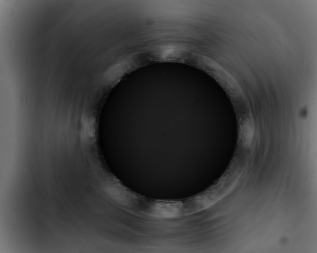 X0000103130571200808291319