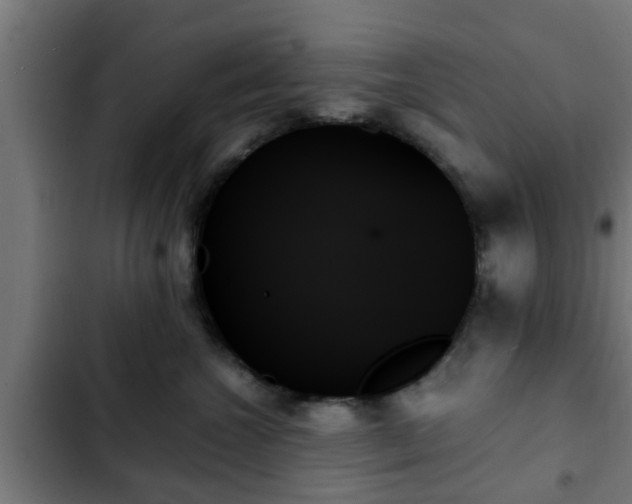 X0000103130572200808291319
