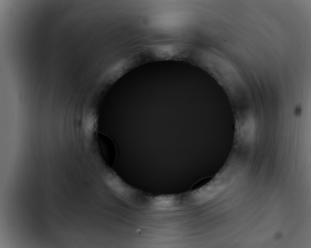 X0000103130574200808291319