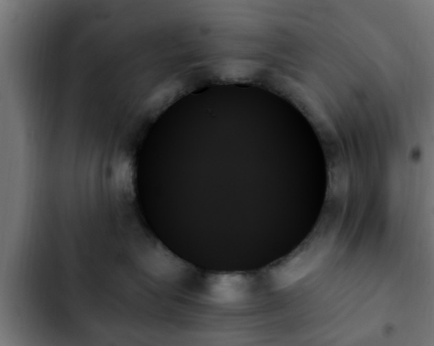 X0000103130575200808291319