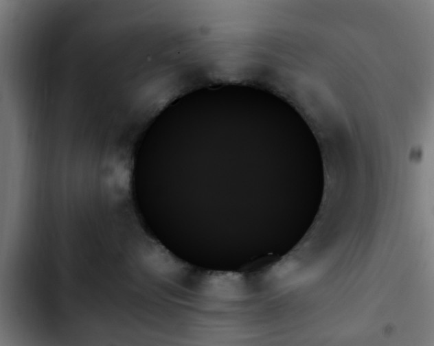 X0000103130576200808291319