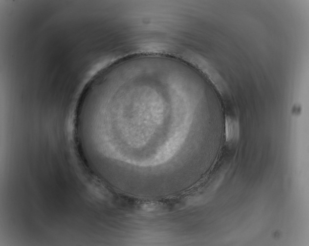 X0000103130579200808291318