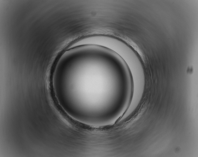 X0000103130581200808291318