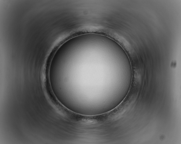 X0000103130582200808291318