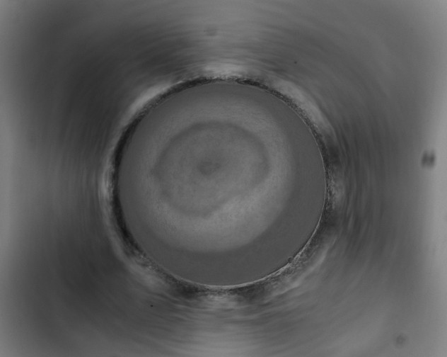 X0000103130583200808291318