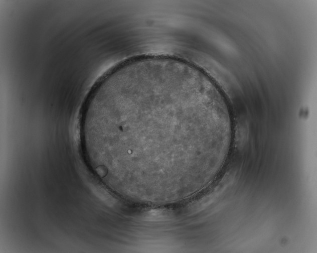 X0000103130584200808291318