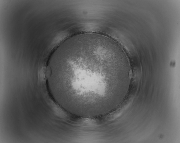 X0000103130585200808291318