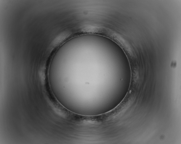 X0000103130586200808291318