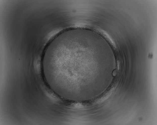 X0000103130588200808291318