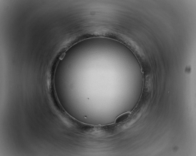 X0000103130589200808291318