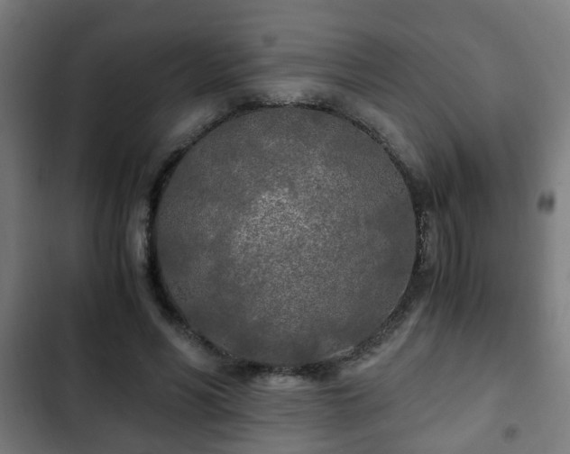 X0000103130590200808291318