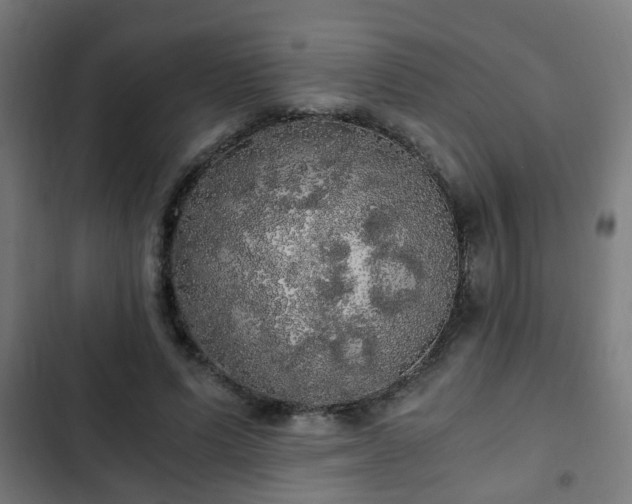 X0000103130591200808291318
