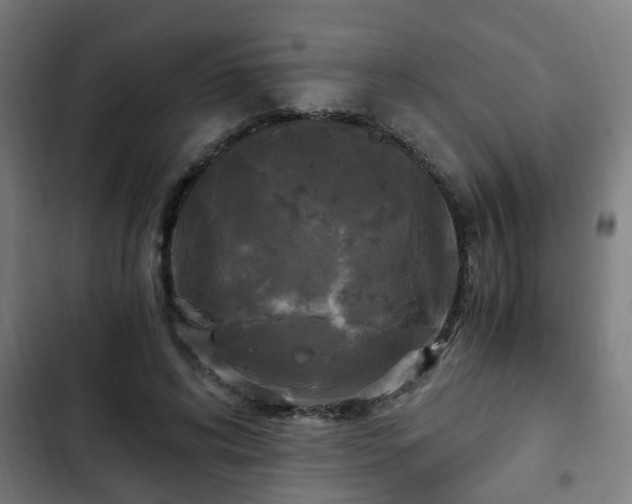 X0000103130592200808291318