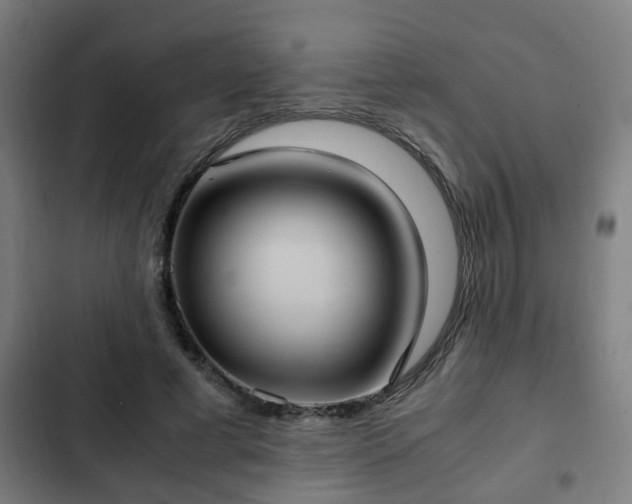 X0000103130593200808291318