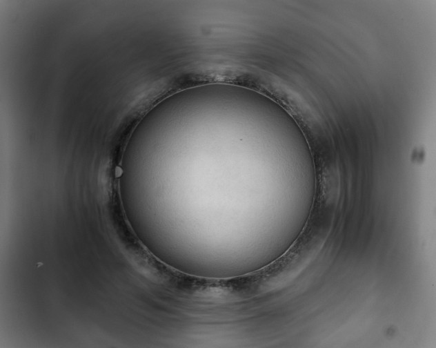 X0000103130594200808291318