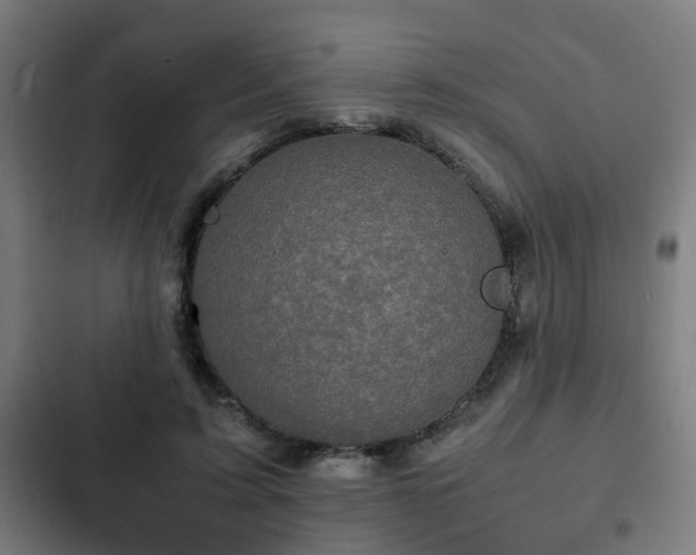 X0000103130595200808291318