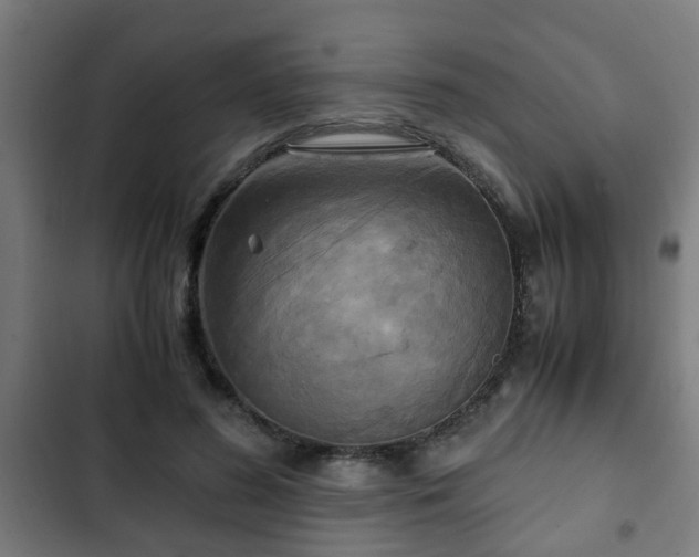 X0000103130596200808291318