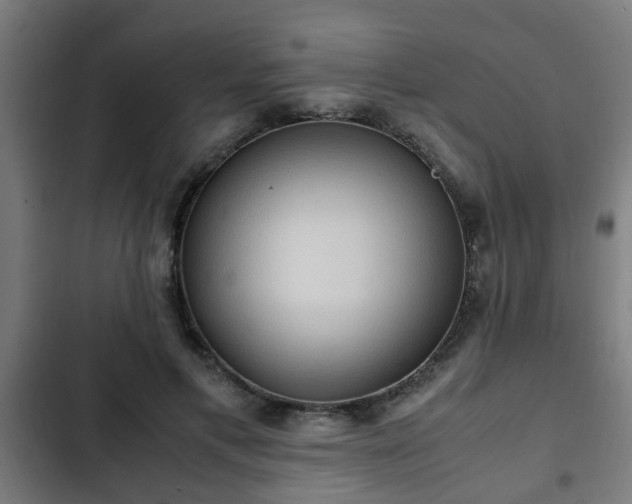 X0000103130597200808291318
