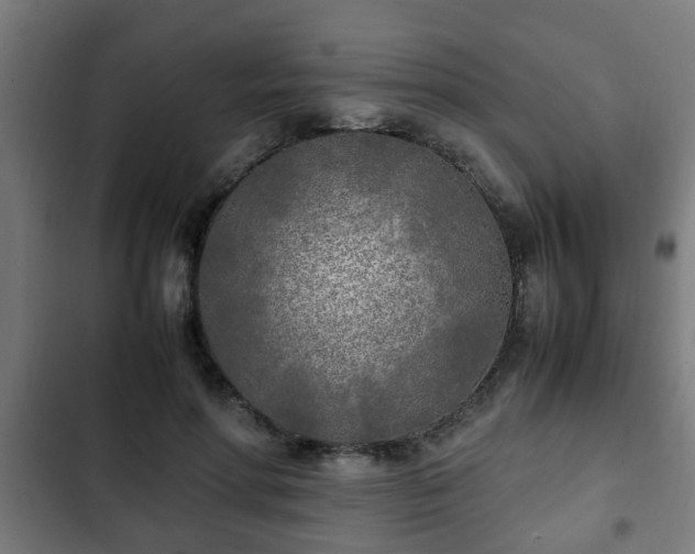 X0000103130598200808291318