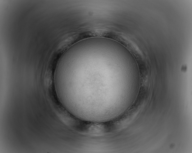 X0000103130599200808291318