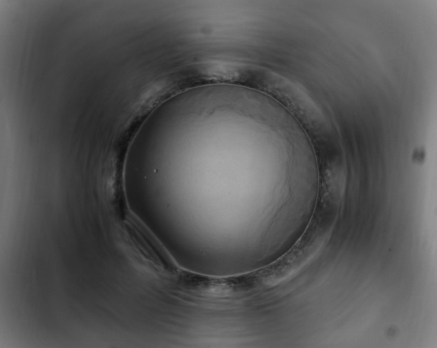 X0000103130600200808291318