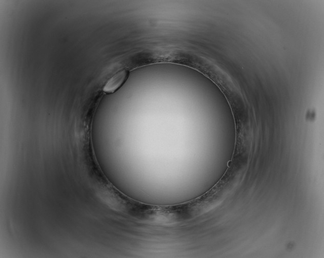 X0000103130601200808291318