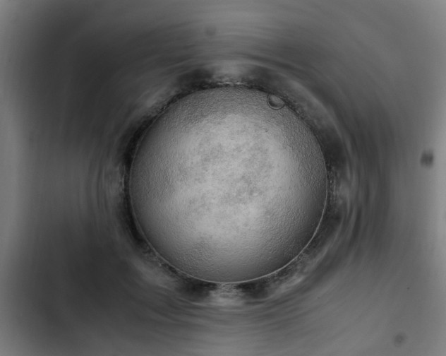 X0000103130603200808291318